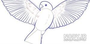  عکس پرنده در حال پرواز نقاشی