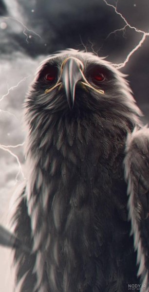  عکس عقاب طلایی خفن