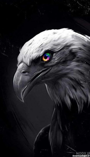  عکس عقاب ترسناک برای پروفایل