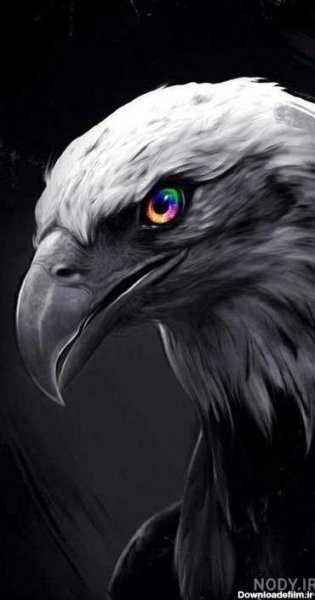  عکس عقاب ترسناک برای پروفایل