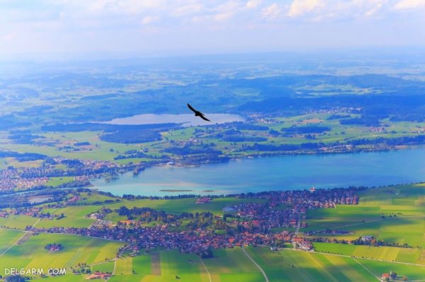  عکس عقاب برای تصویر زمینه