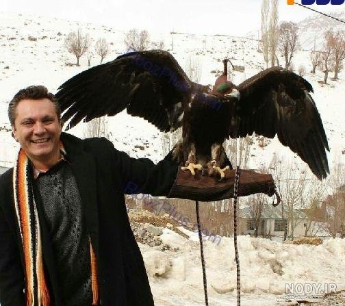  عکس عقاب وحشی برای پروفایل