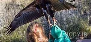 عکس عقاب برای پروفایل خفن