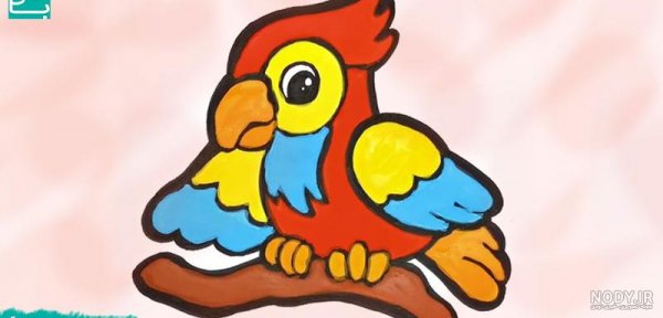  عکس طوطی نقاشی