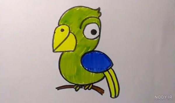 عکس طوطی نقاشی