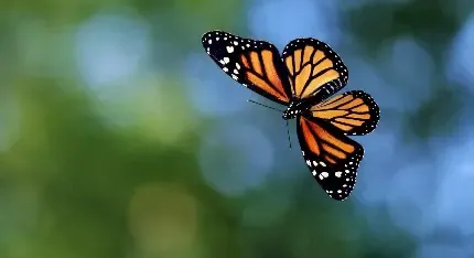  تصویر های زیبا