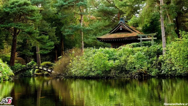 ارامش بخش ترین تصاویر