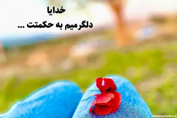  ارامش بخش ترین تصاویر