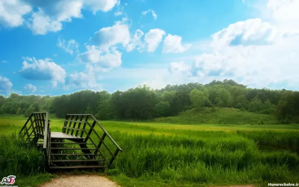  ارامش بخش ترین تصاویر