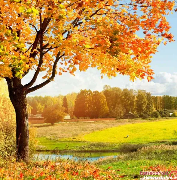 عکس های جذاب