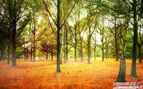  عکس های جذاب