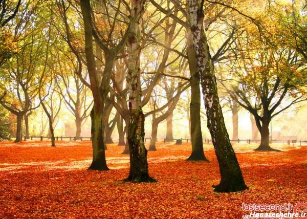  عکس های جذاب