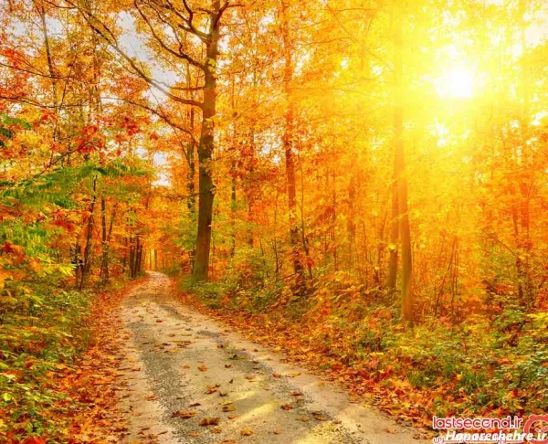  عکس های جذاب