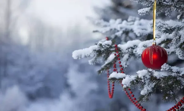  عکس زیبا آرامش بخش