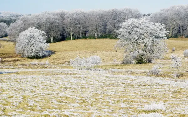  عکس آرامش بخش زمستانی