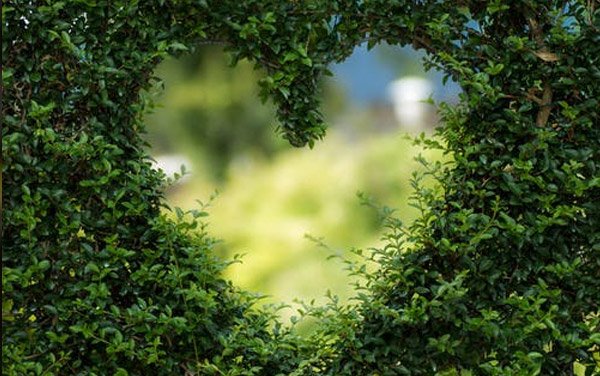  عکس آرامش بخش تابستانی