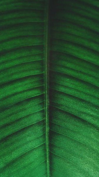  عکس آرامش بخش تابستانی