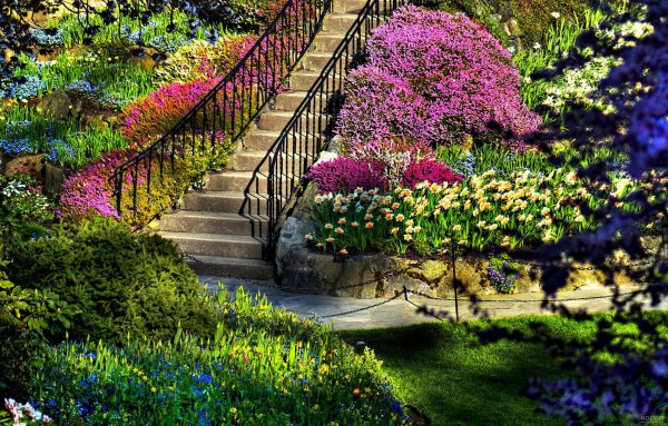  عکس تابستانی طبیعت