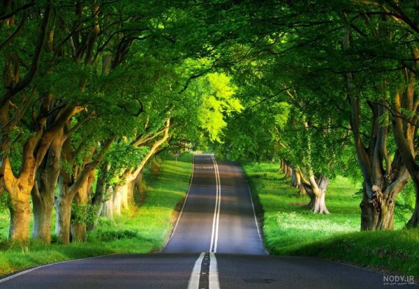  عکس تابستانی طبیعت