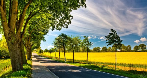  عکس تابستانی طبیعت