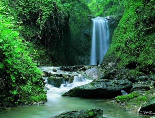  عکس تابستانی طبیعت