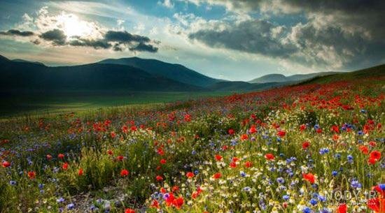  عکس تابستانی طبیعت