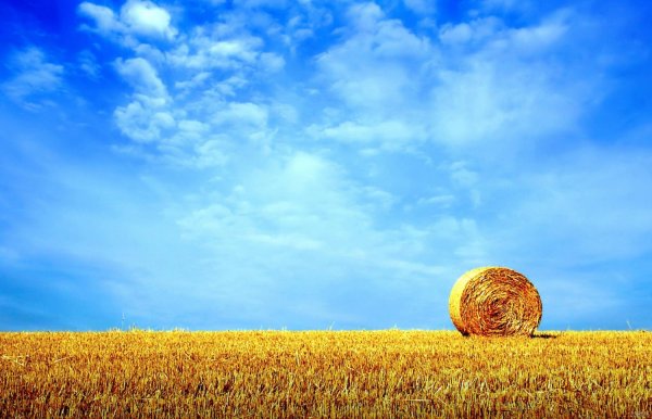  عکس تابستانی فانتزی