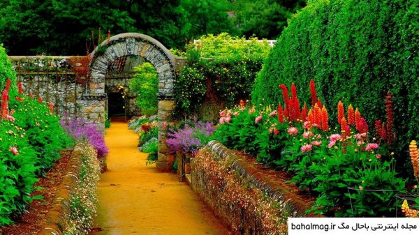  عکس طبیعت تابستانی برای پروفایل