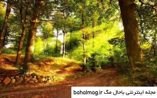  عکس طبیعت تابستانی برای پروفایل