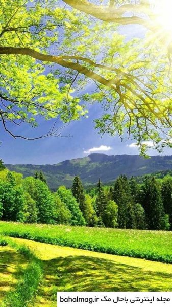  عکس طبیعت تابستانی برای پروفایل