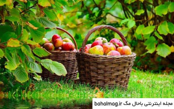  عکس طبیعت تابستانی برای پروفایل
