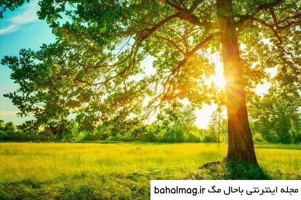  عکس طبیعت تابستانی برای پروفایل