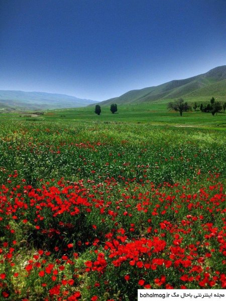  عکس طبیعت تابستانی برای پروفایل