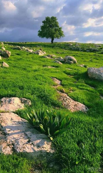  عکس تابستان واقعی