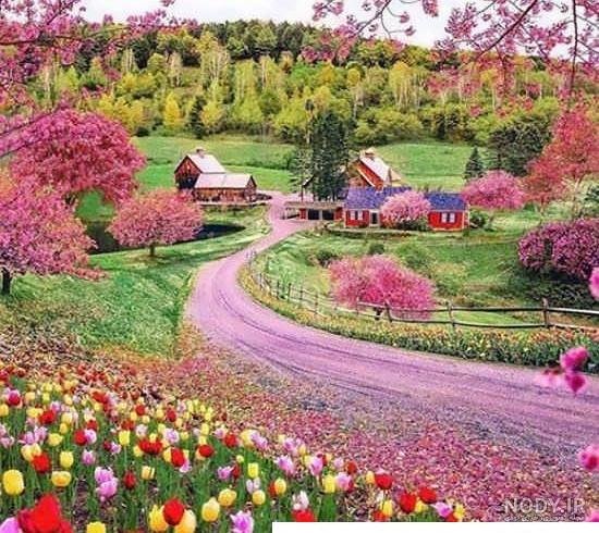  عکس تابستان واقعی