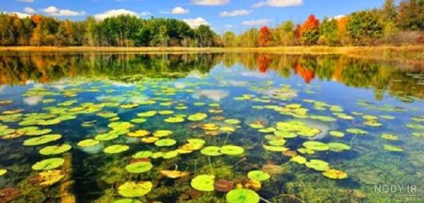  عکس تابستان واقعی