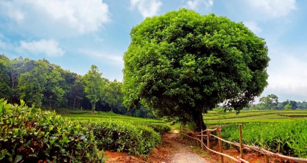  عکس تابستان واقعی