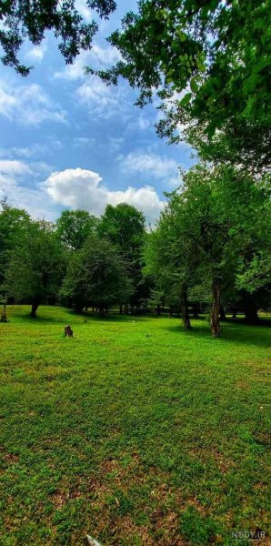  عکس تابستان واقعی