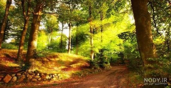  عکس تابستان واقعی