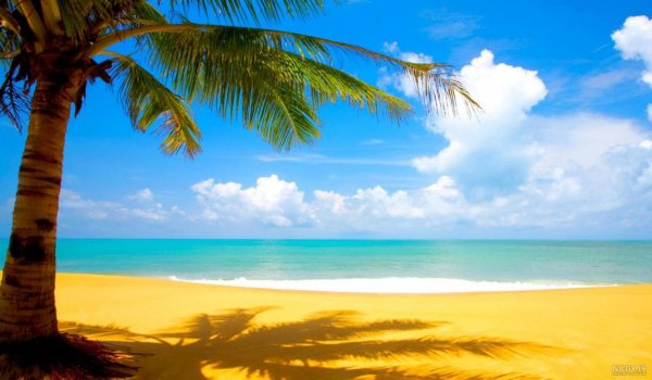  عکس تابستان واقعی