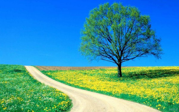  عکس تابستان واقعی