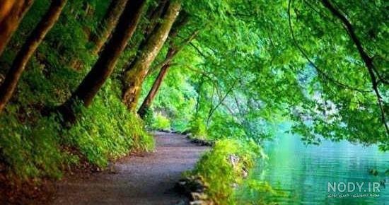  عکس تابستان واقعی