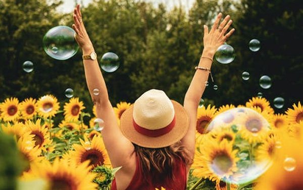 عکس تابستانی طبیعت