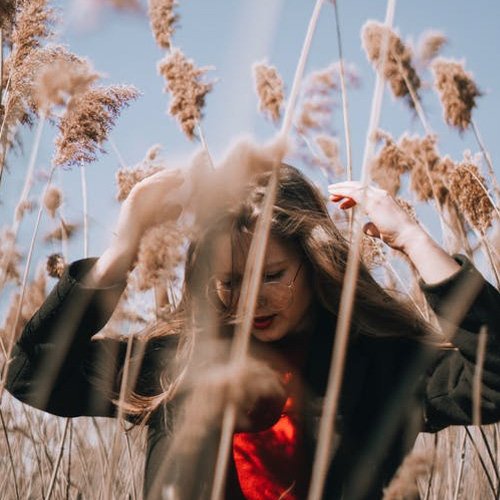 عکس تابستانی طبیعت