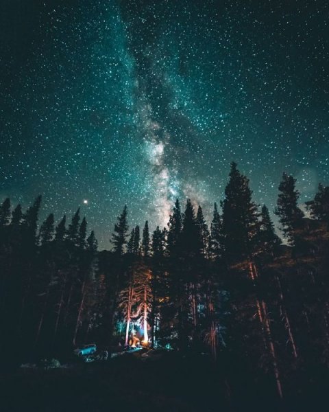  عکس پروفایل هنری خاص از طبیعت