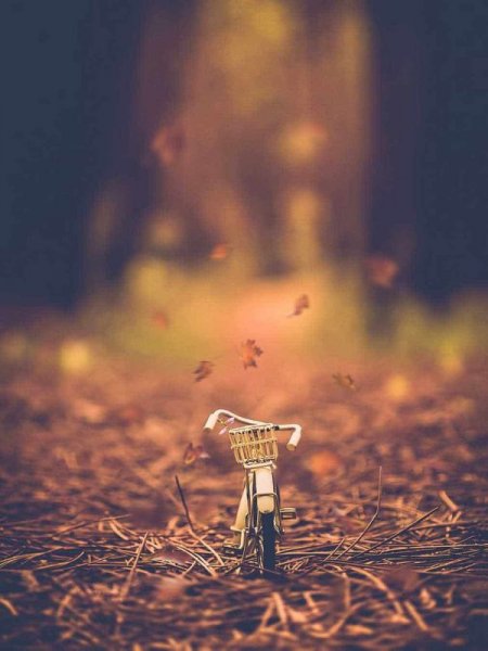  عکس پروفایل هنری خاص از طبیعت