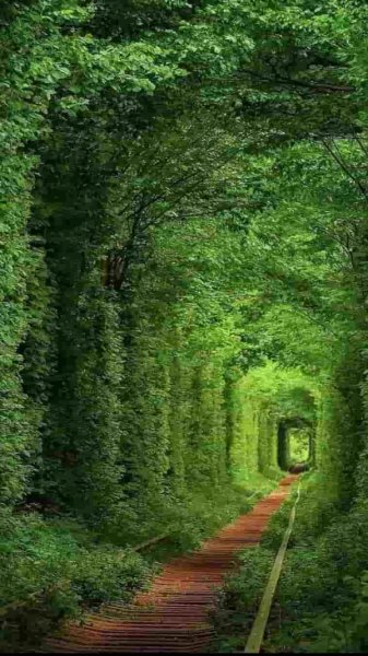  عکس پروفایل هنری خاص از طبیعت