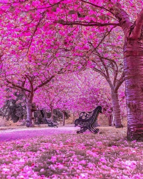  عکس پروفایل هنری خاص از طبیعت