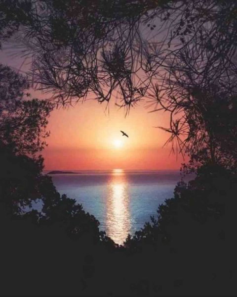  عکس پروفایل هنری خاص از طبیعت