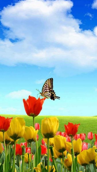  عکس پروفایل هنری خاص از طبیعت